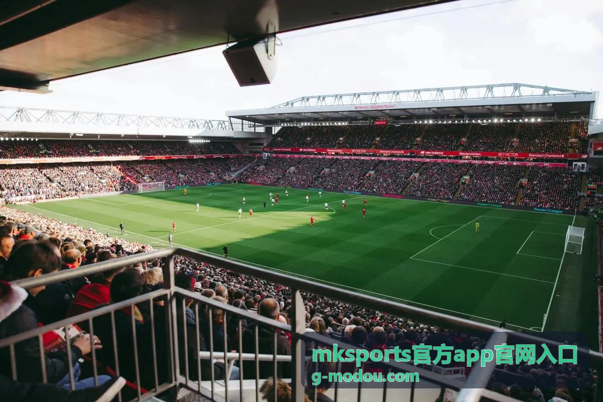 mksports官方app官网入口文章封面