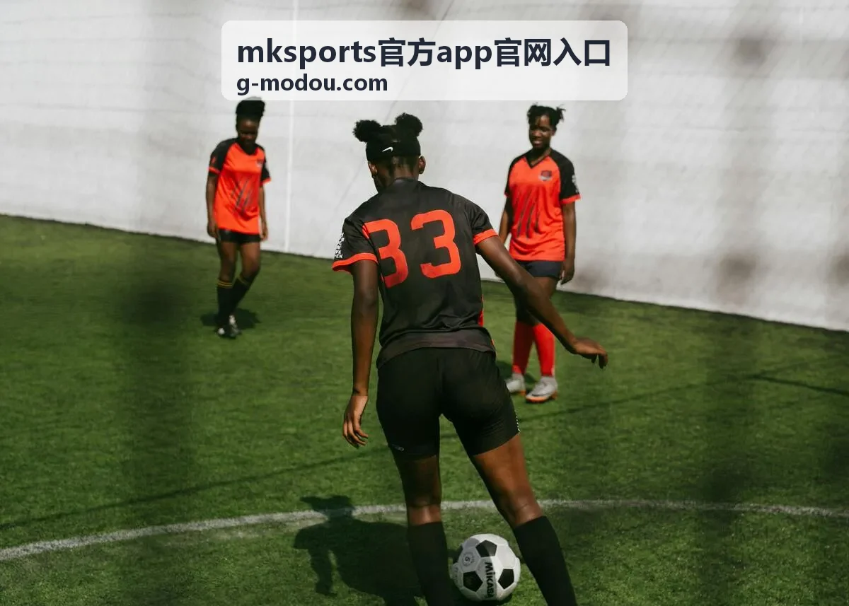 mksports官方app官网入口安装前版本核验要点