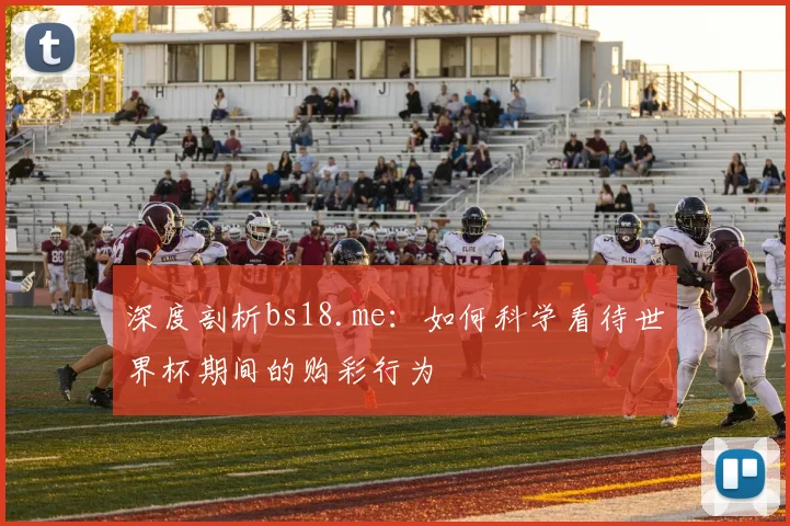深度剖析bs18.me：如何科学看待世界杯期间的购彩行为