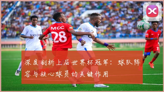 深度剖析上届世界杯冠军：球队阵容与核心球员的关键作用